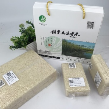 稻鳖共生香米