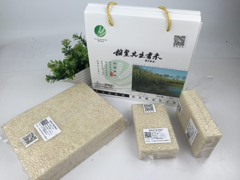 稻鳖共生香米