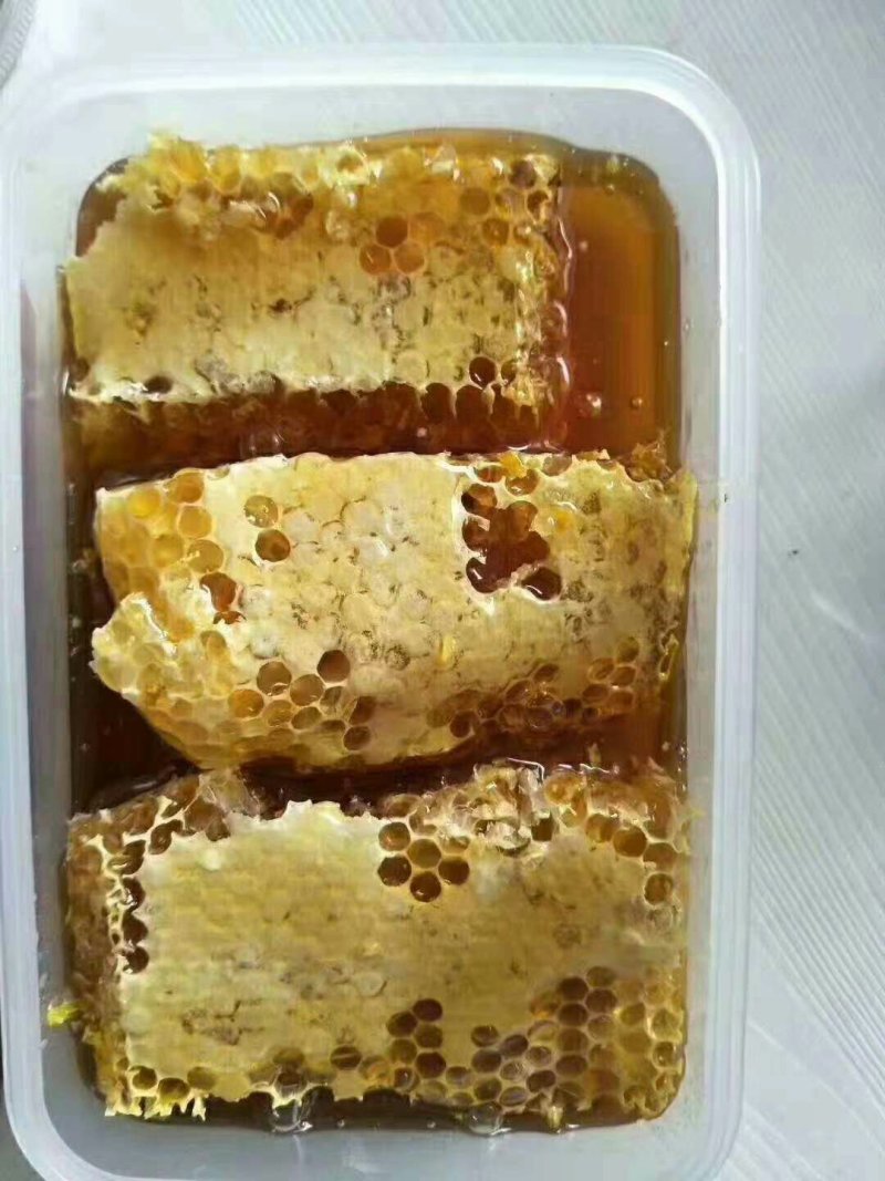 纯野生土蜜蜂