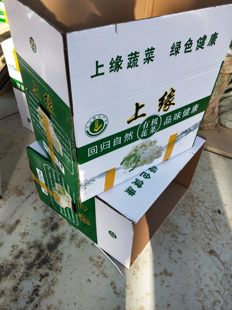 河南省，开封市，通许县，丰贵种植农民专业合作社，有机菜花