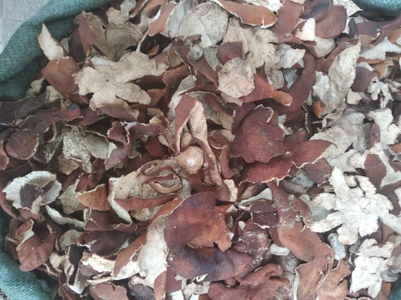 陈皮足干一等货