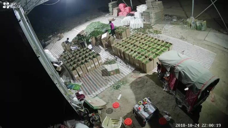 河南省，开封市，通许县，丰贵种植农民专业合作社，有机菜花