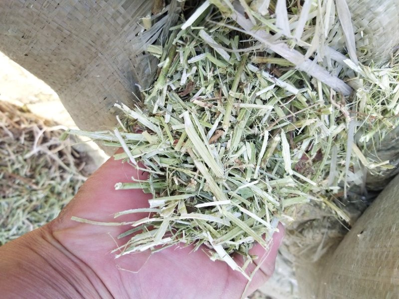 花生秧子，花生秧颗粒饲料，正阳中原草业有限公司