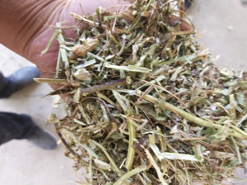 花生秧子，花生秧颗粒饲料，正阳中原草业有限公司