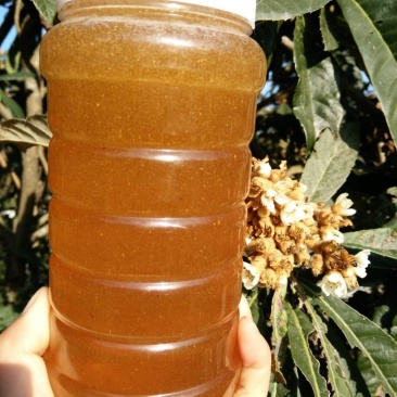 常年供应中蜂蜜，质量保证百分之百纯正。