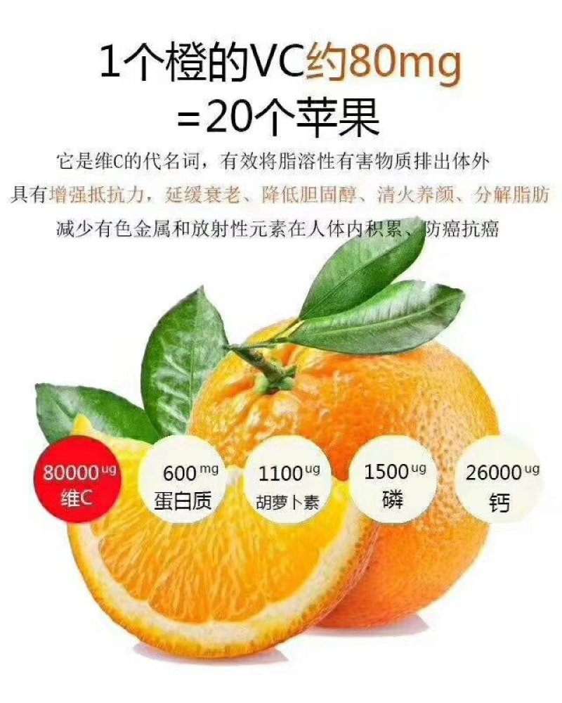 赣南脐橙
