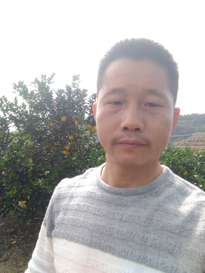 赣南脐橙