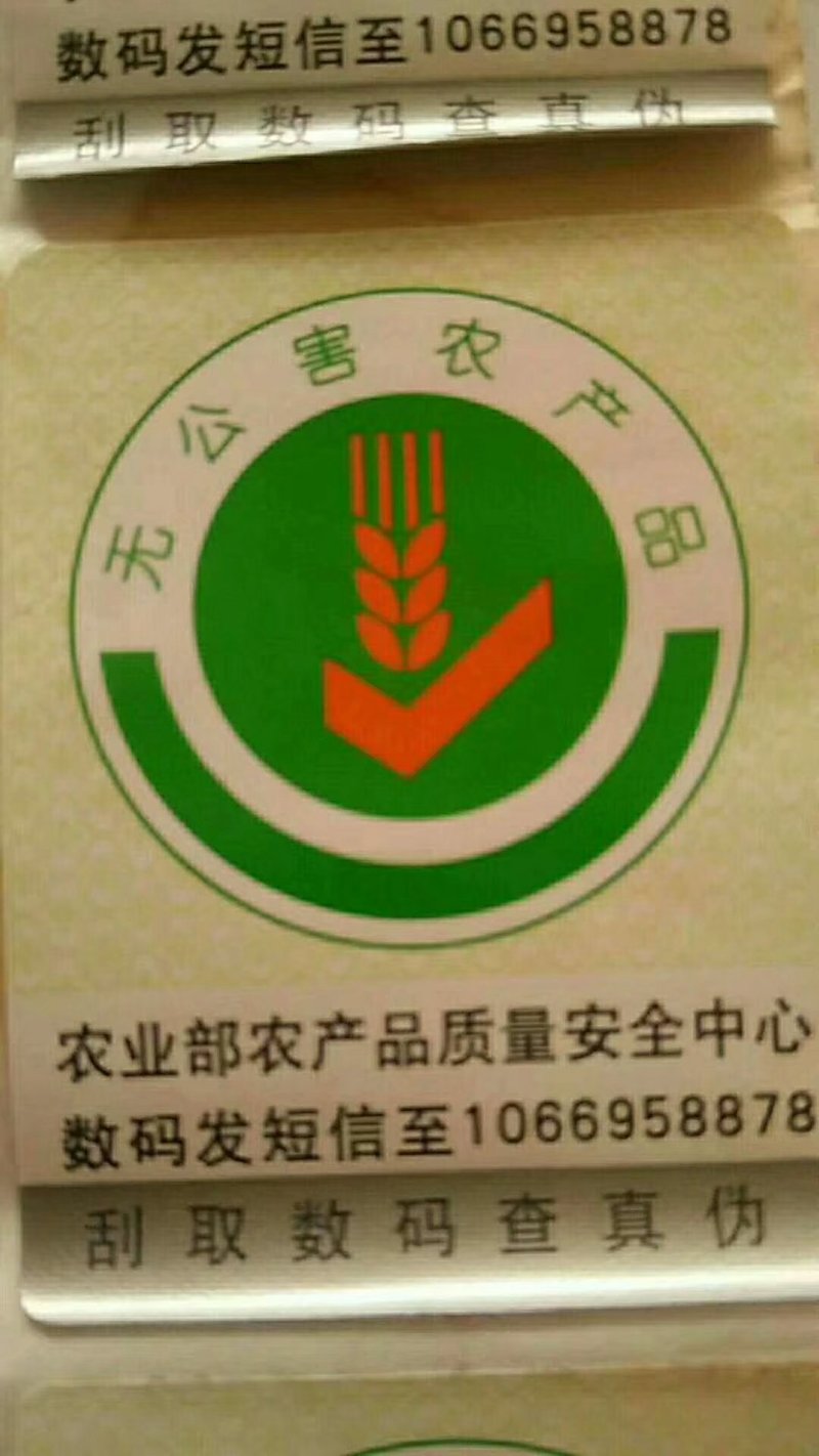 蜂蜜