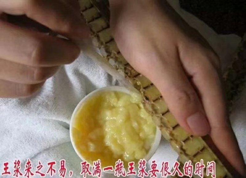 蜂蜜