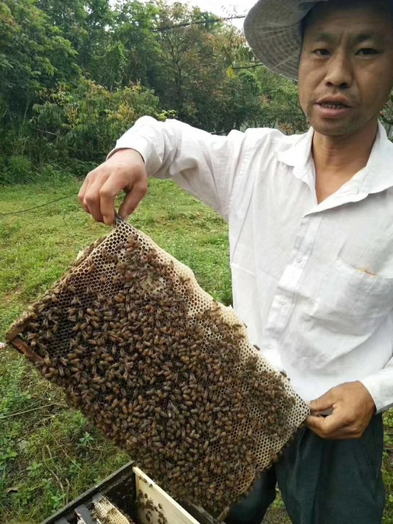 蜂蜜
