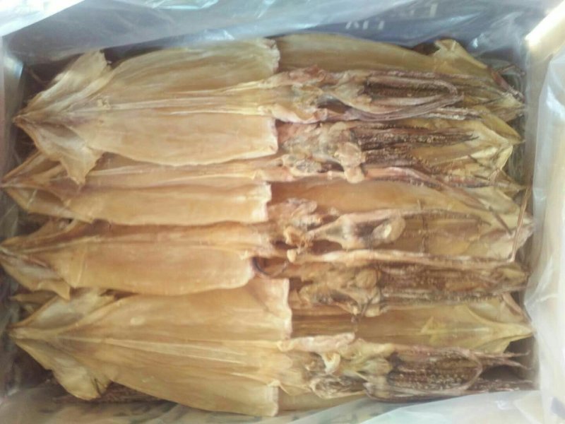 鱿鱼
