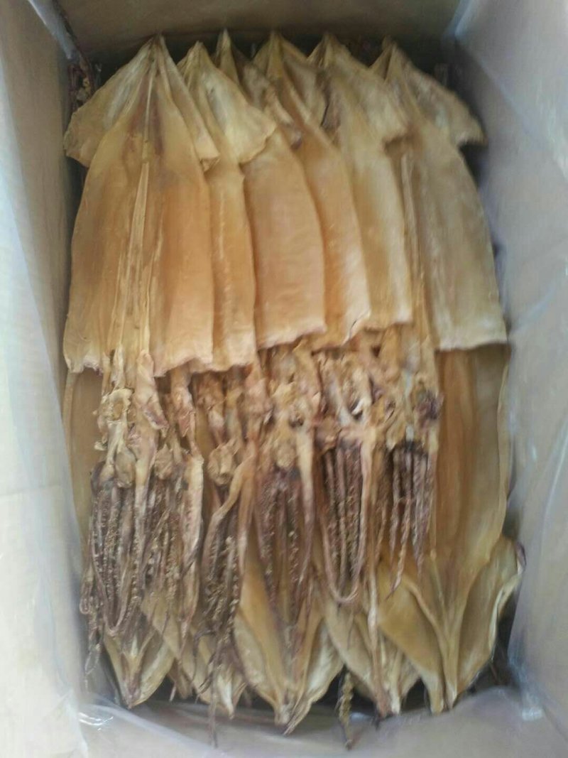 鱿鱼