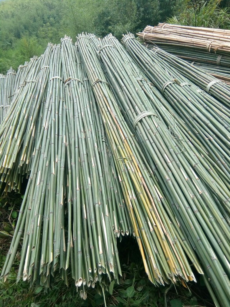 菜架竹子(欢迎来电）大棚竹竿，扶树竹竿，华蓥山直接发货