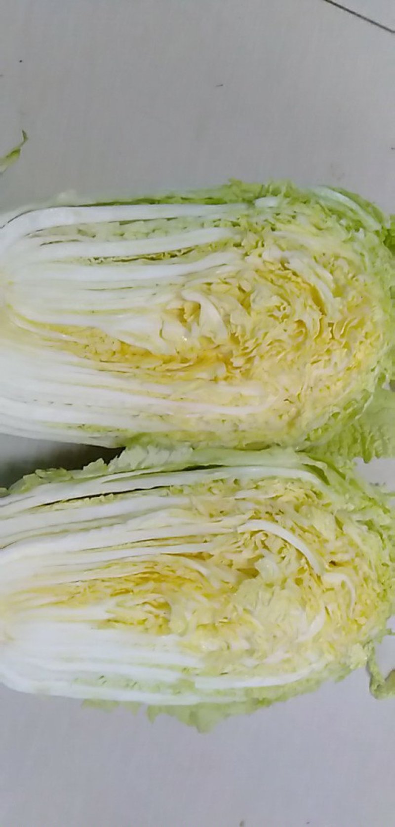 黄心白菜