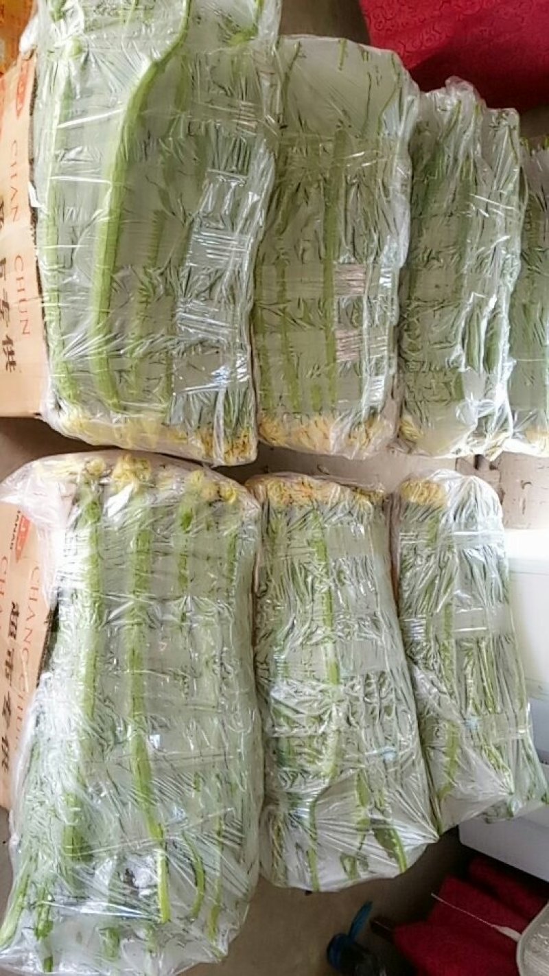 精品高效温室大棚丝瓜