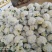大量花菜上市质量优质花面白