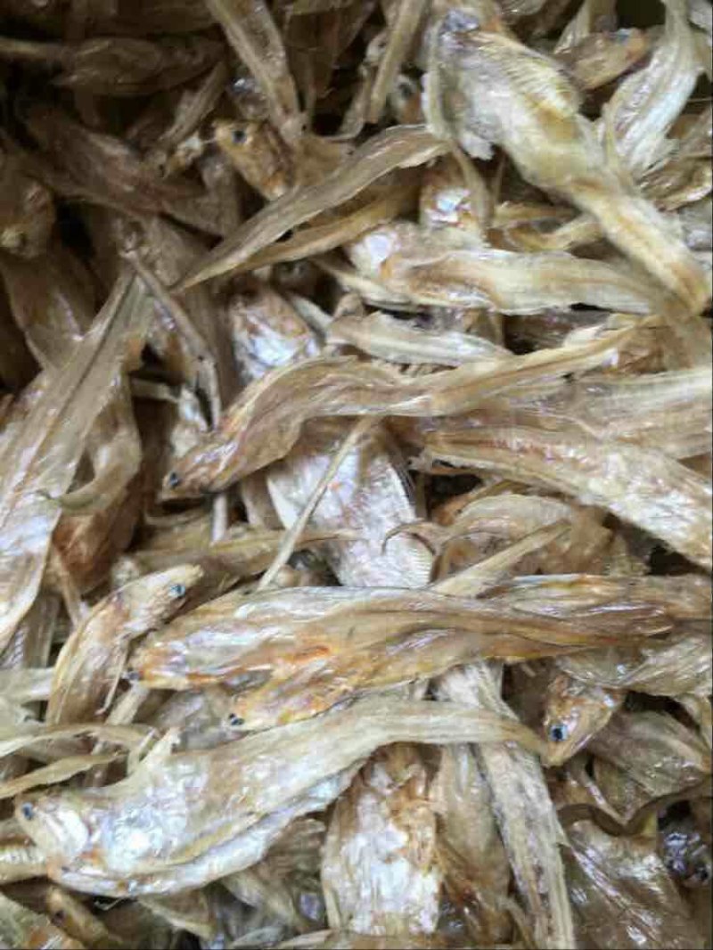 毛刀鱼干
