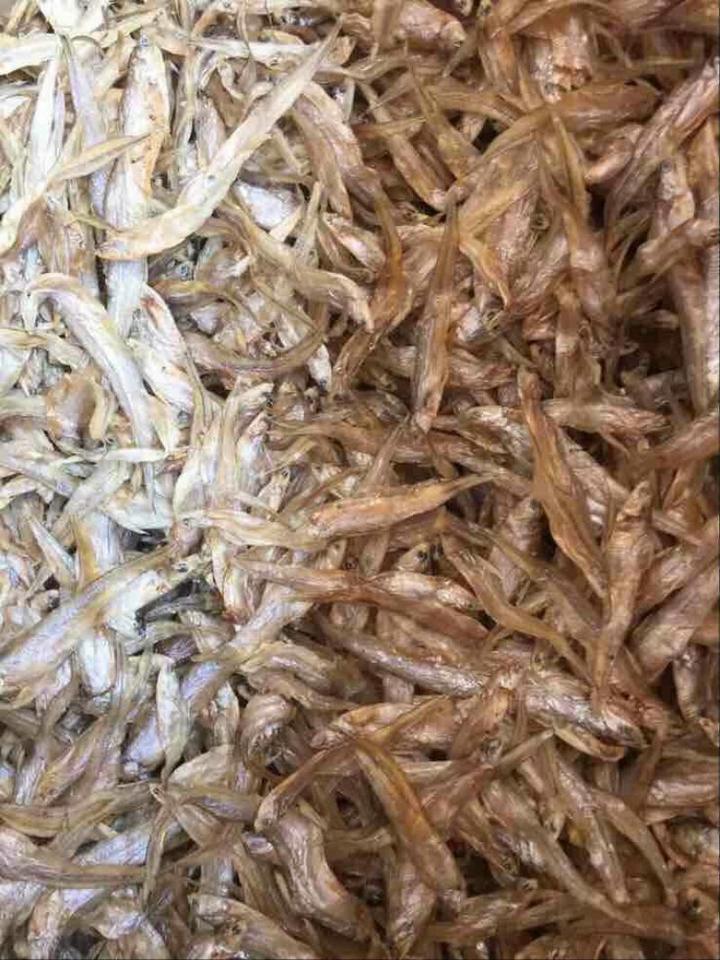 毛刀鱼干