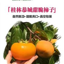 广西恭城县原生态山林柿子味道：品味香甜清脆、口感特佳