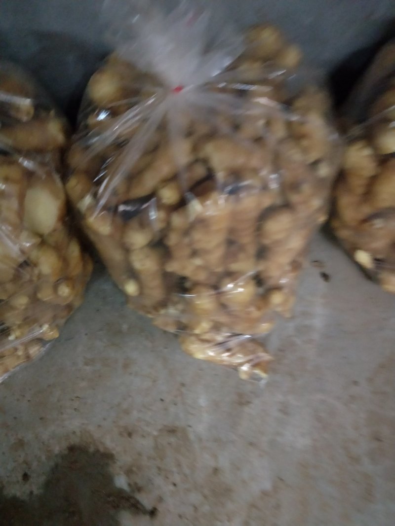 优质生姜-生姜-小黄姜，鲜姜保质保量基地发货一条龙服务