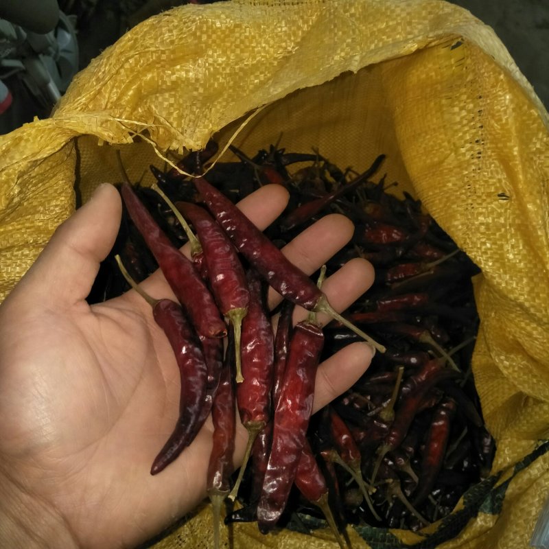 干辣椒