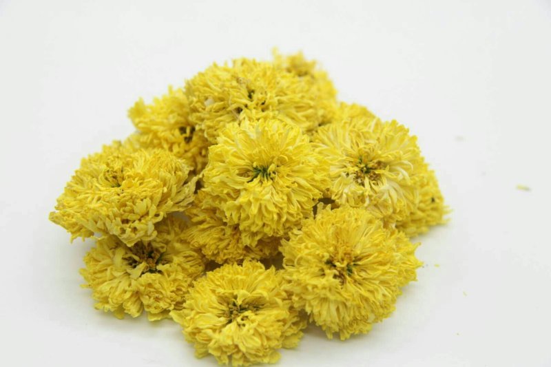 皇菊茶