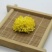 皇菊茶