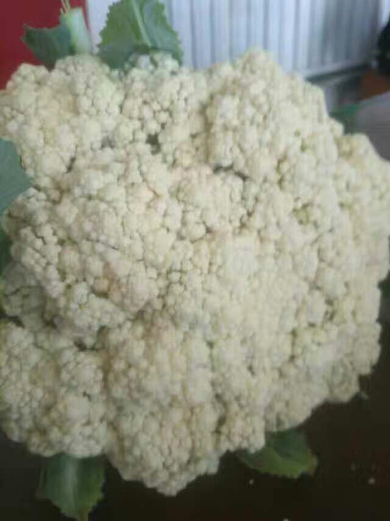 有机菜花