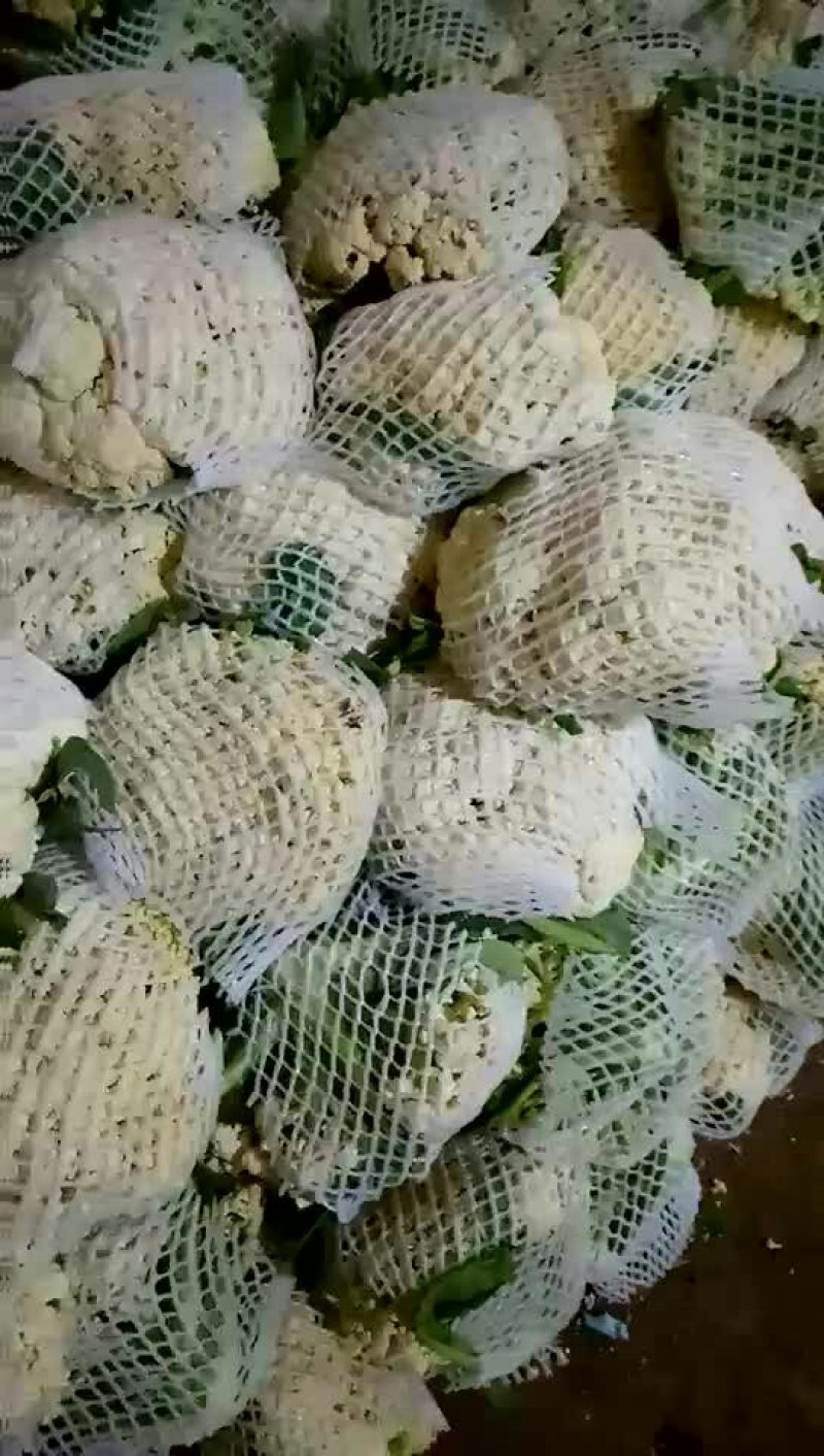 有机菜花