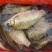 鲤鱼，鲫鱼，草鱼