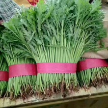 茼蒿