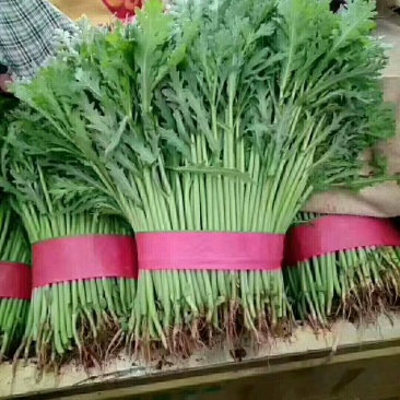 茼蒿
