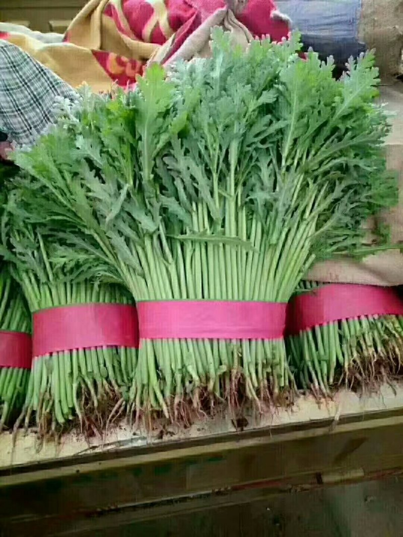 茼蒿