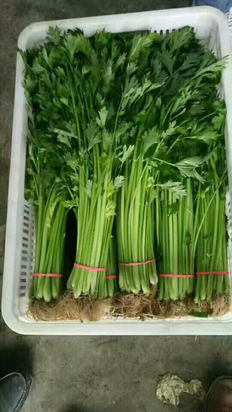 香芹