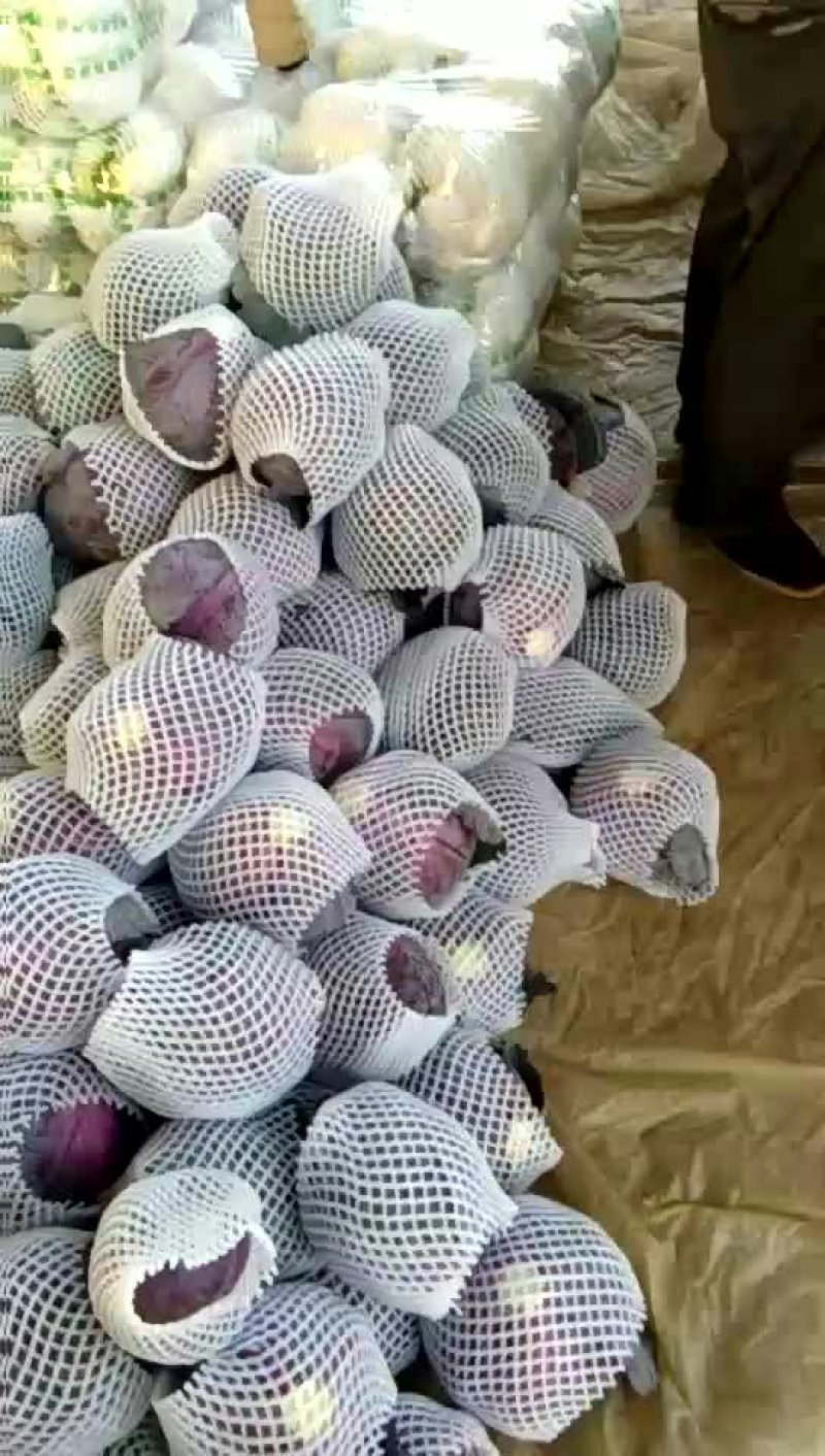 紫甘蓝