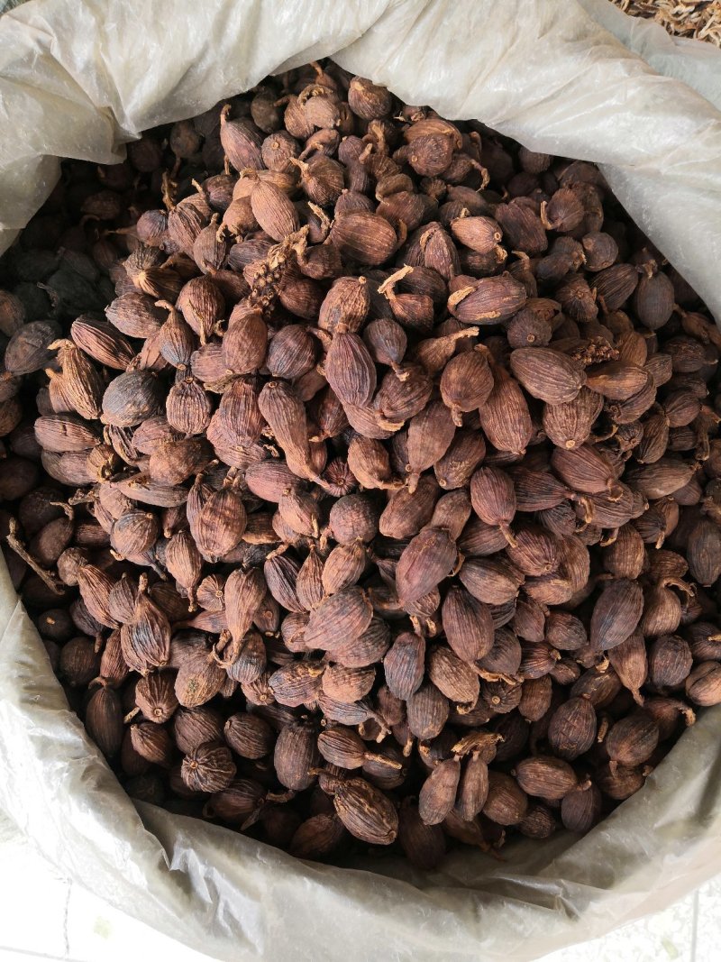 云南草果不掺越南草果足干颜色靓无烟果