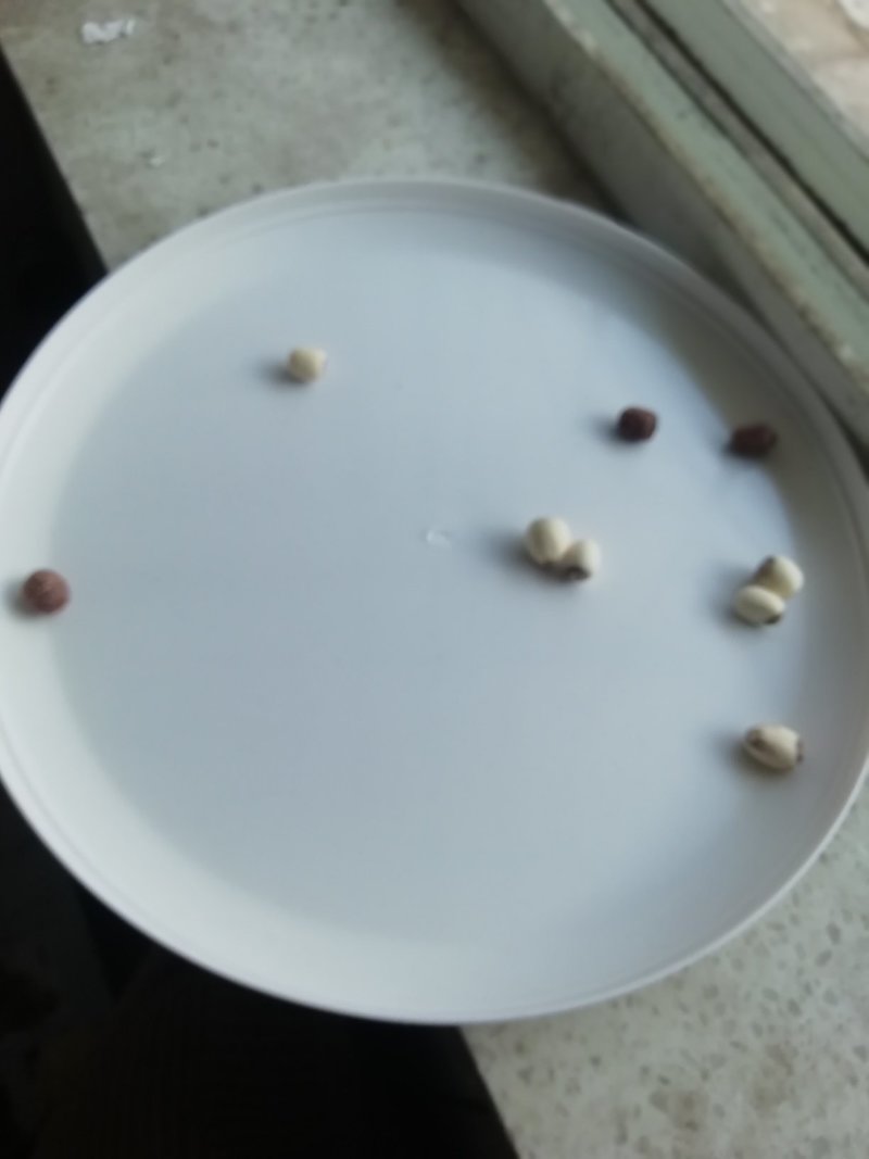 各种商品