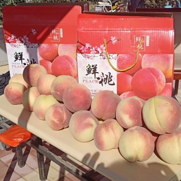 雪桃