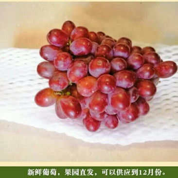 克伦生出售