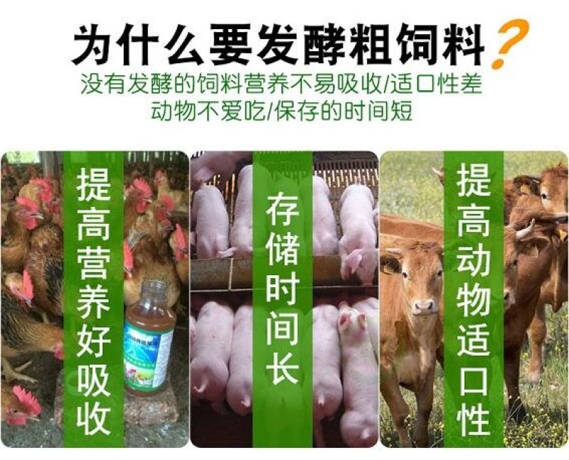 饲料发酵剂em菌液青储豆渣酒糟
