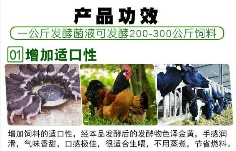 饲料发酵剂em菌液青储豆渣酒糟