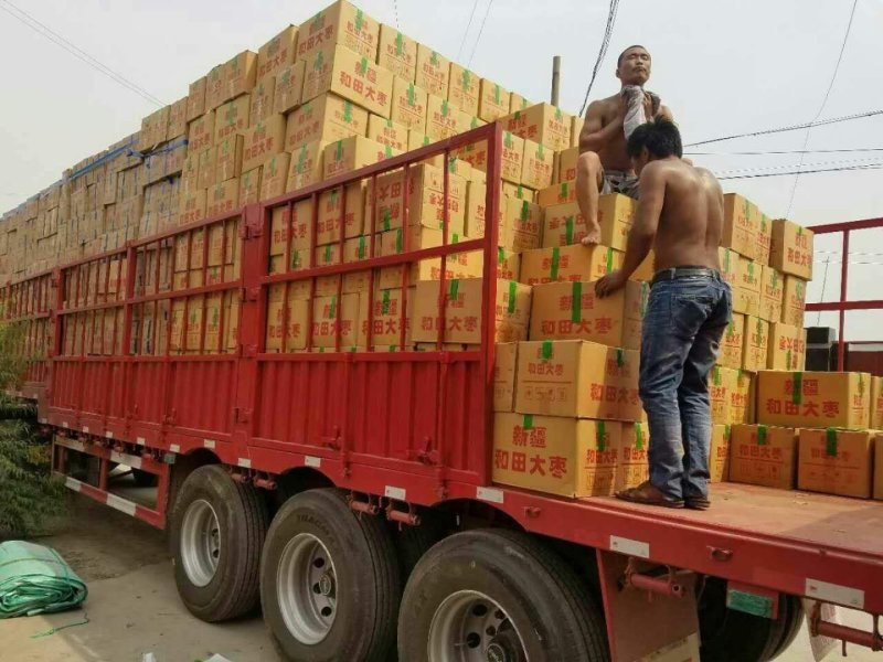 新疆红枣厂家量大价低货源充足品质好质优价廉