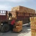 新疆红枣厂家量大价低货源充足品质好质优价廉