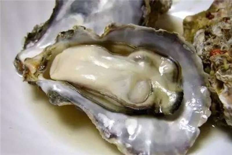 牡蛎海蛎子黄海海蛎子