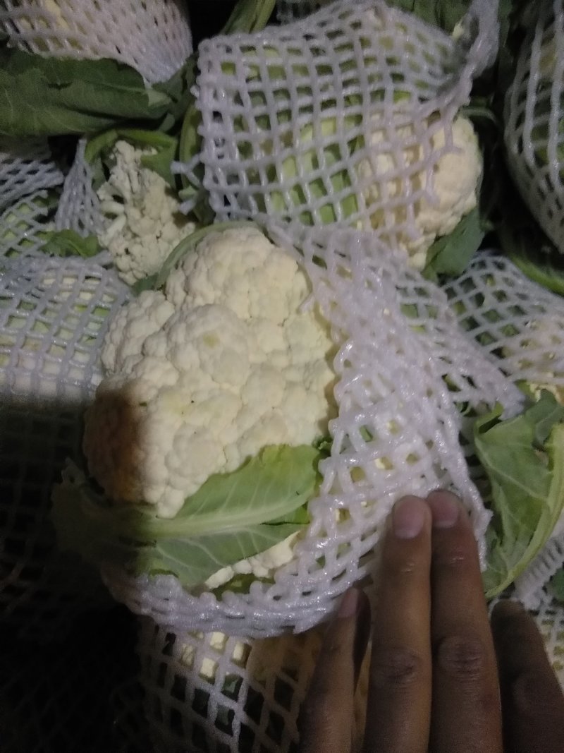 精品，雪玉花菜