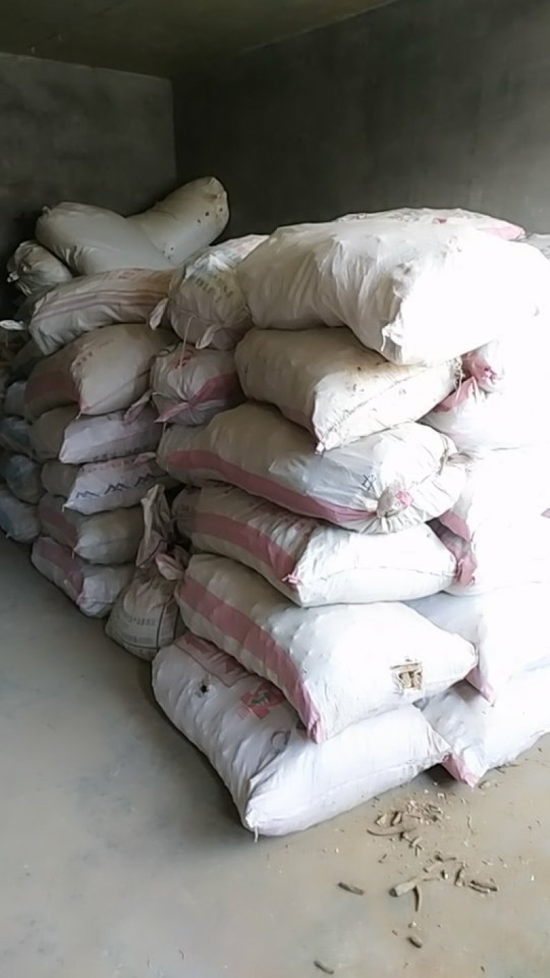 白芷个子白芷片亳白芷道地药材产地加工，全国发货