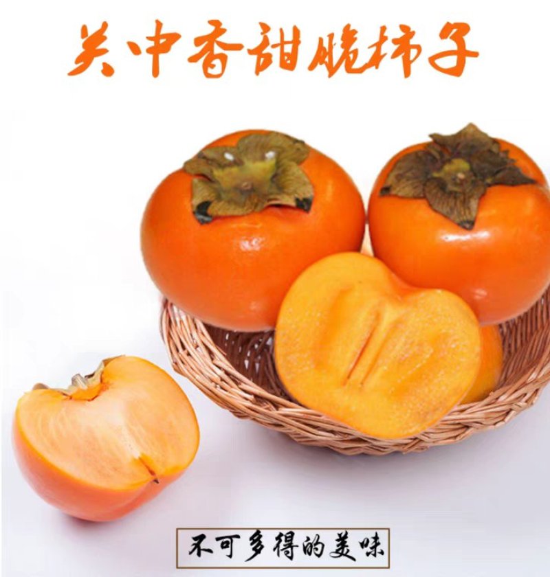 应季新鲜水果阳丰脆甜柿子产地直销保质量保品系保结果