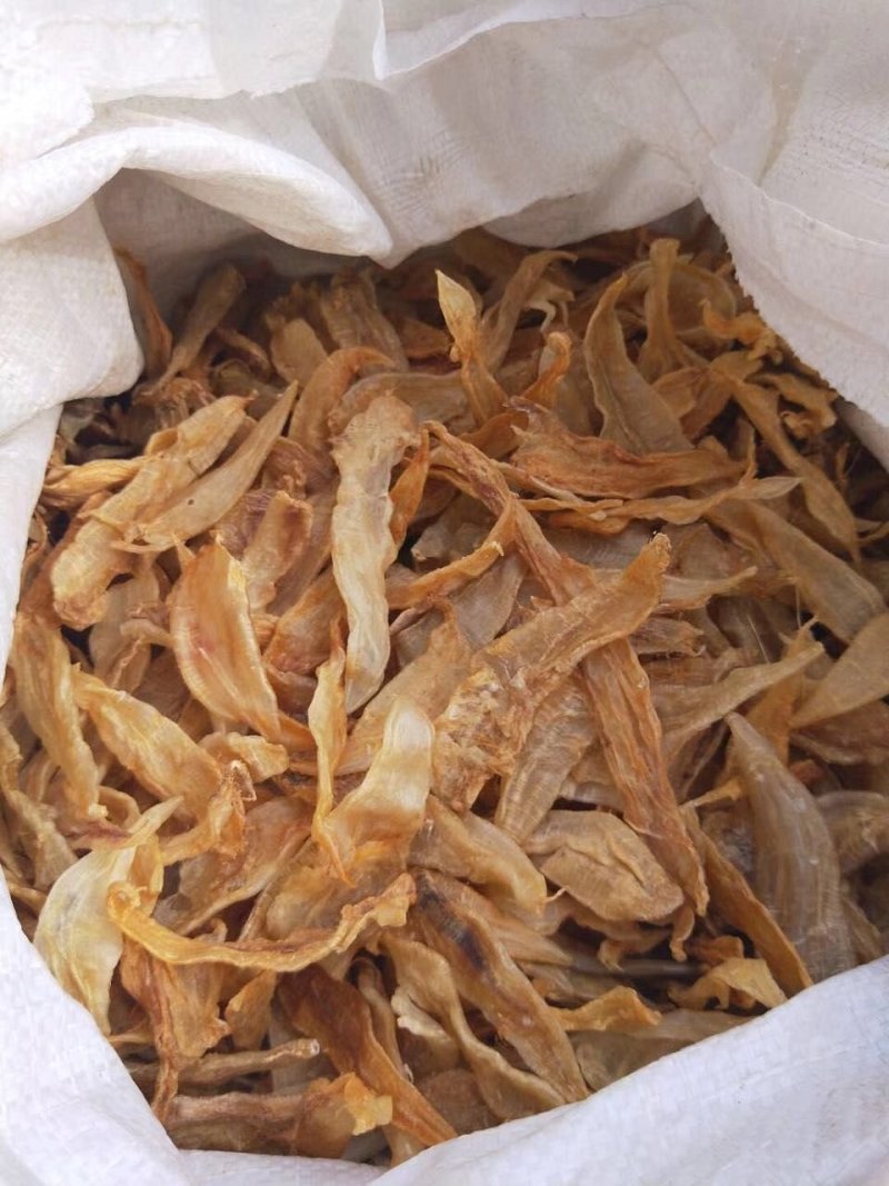 湛江硇洲220头黄花胶