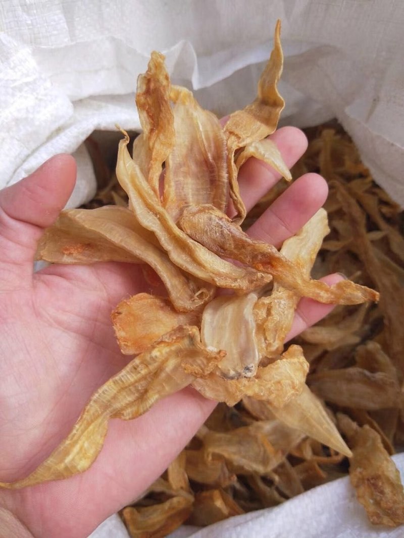 湛江硇洲220头黄花胶
