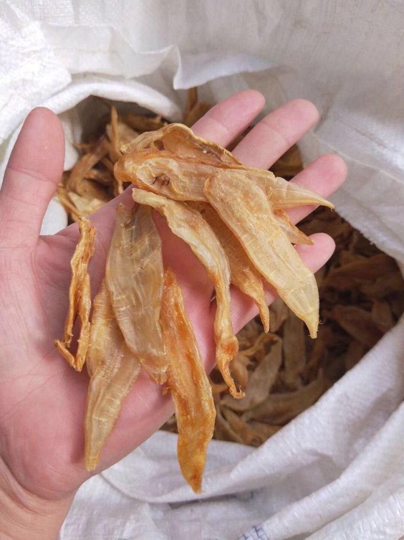 湛江硇洲220头黄花胶